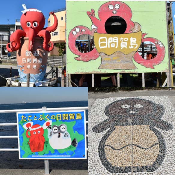 日間賀島はタコの島!?