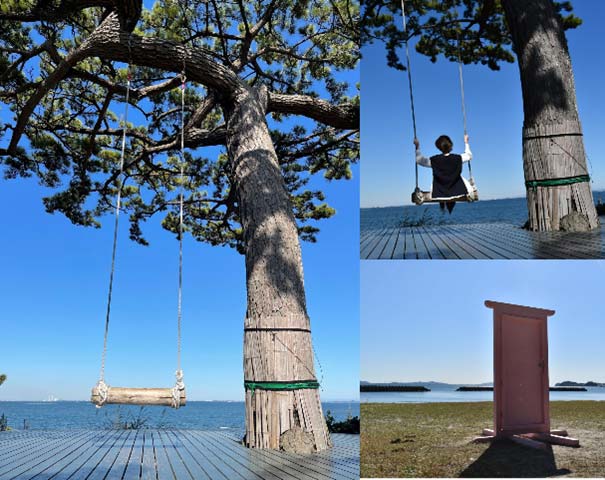 写真映えスポット!