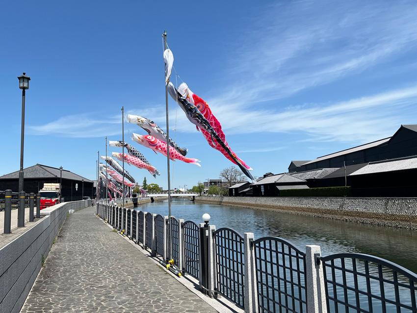 半田運河鯉のぼり