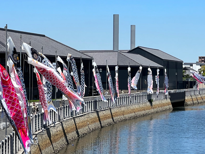 半田運河鯉のぼり
