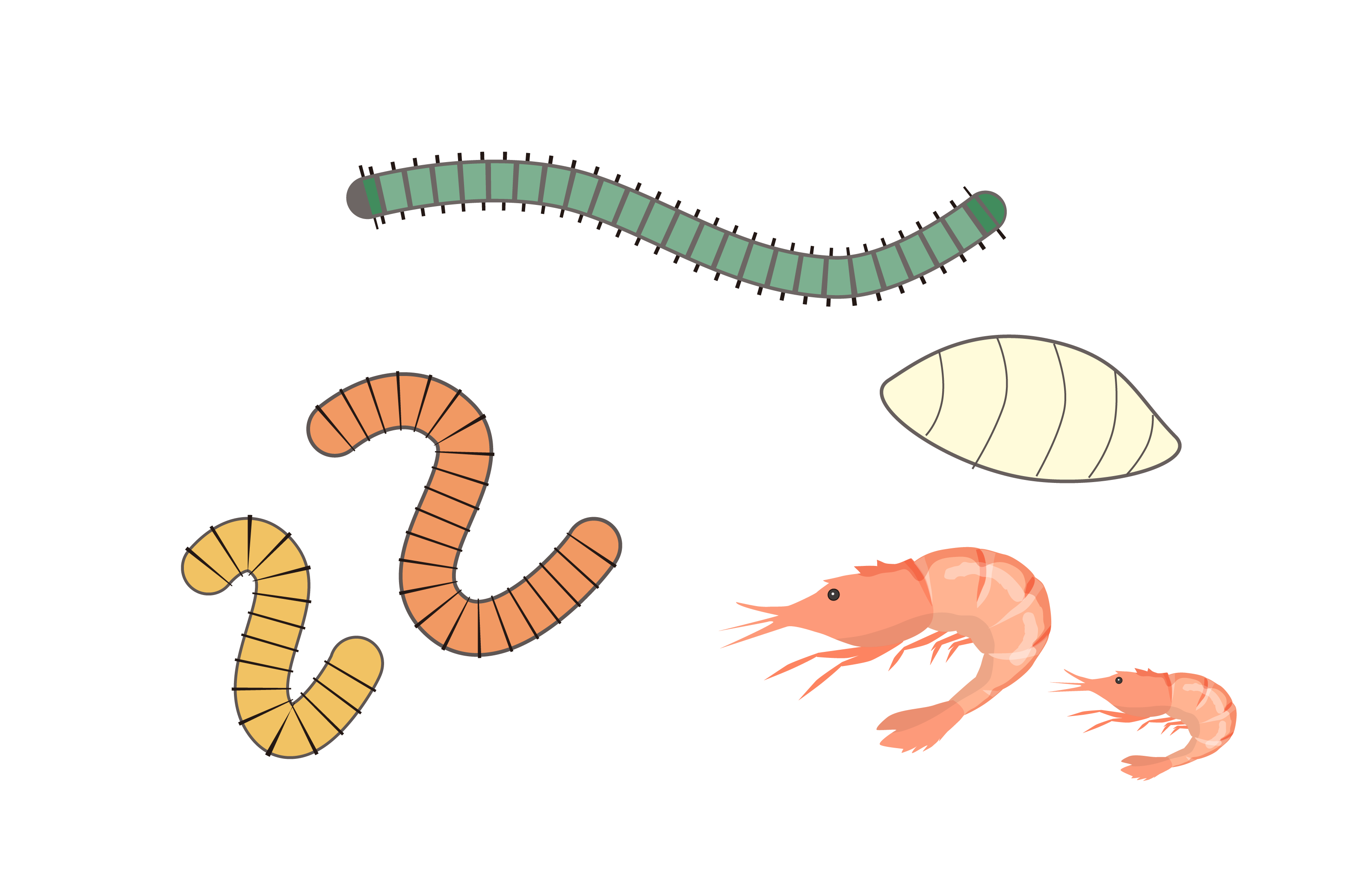 生き餌（エサ）