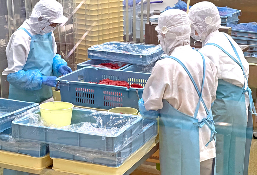 めんたいミュージアム