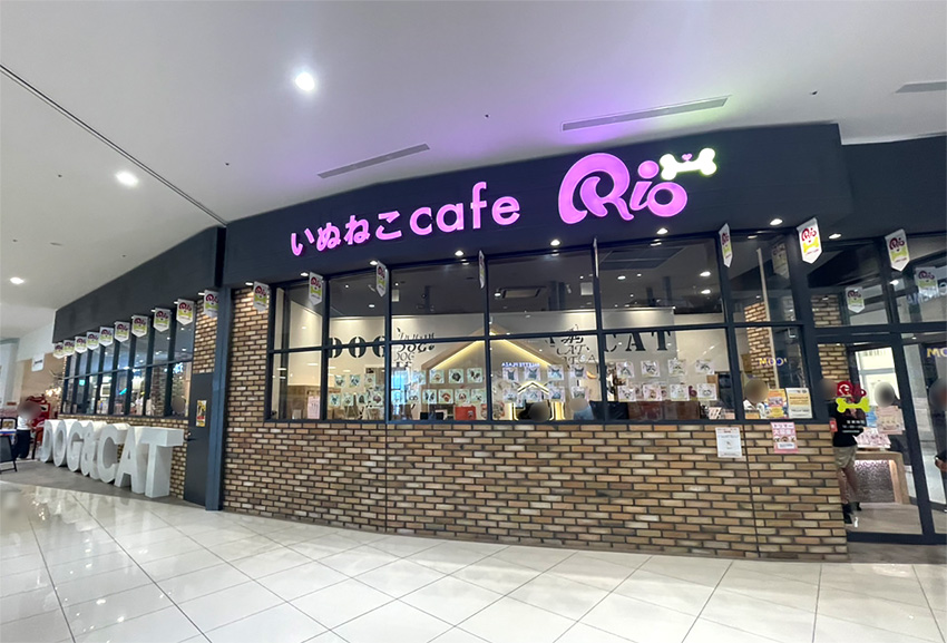 いぬねこカフェRio