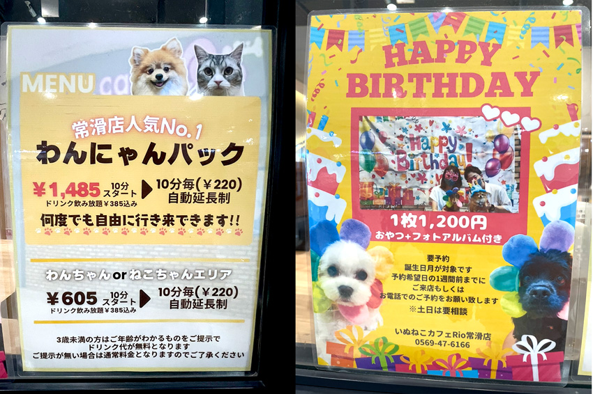 いぬねこカフェRio