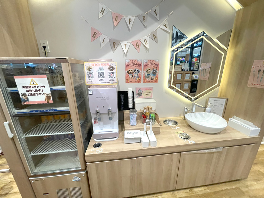 いぬねこカフェRio