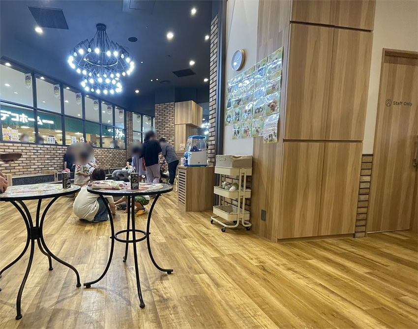 いぬねこカフェRio