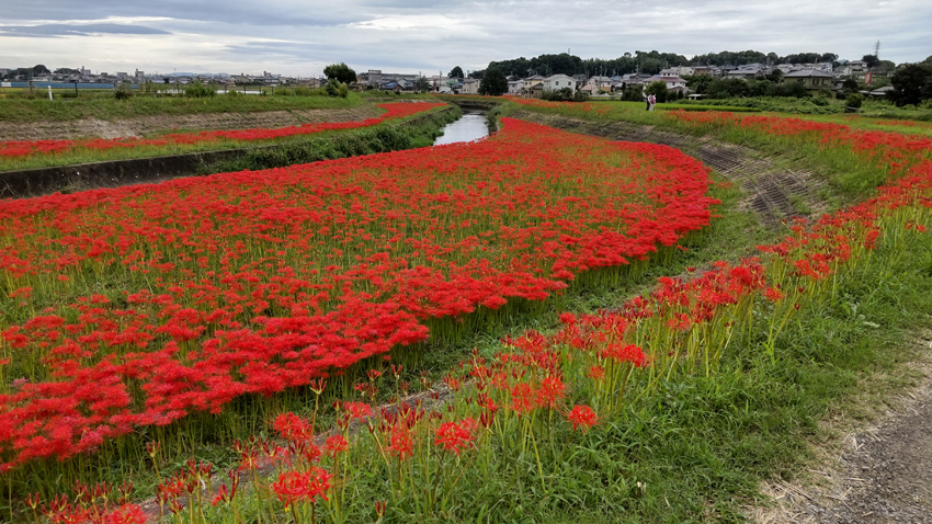新美南吉記念館