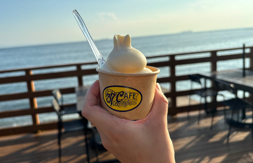 オテル・ド・マロニエ内海