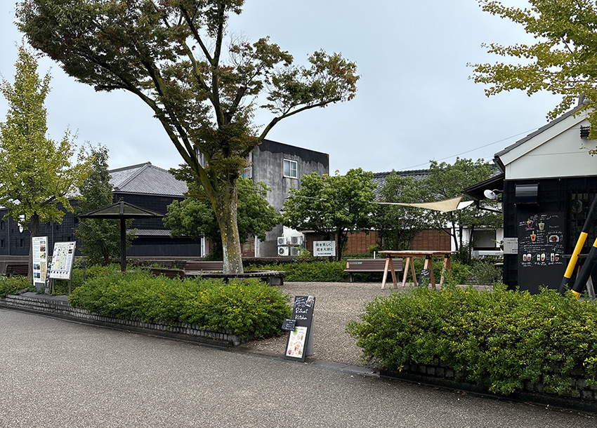 いわさきちひ展