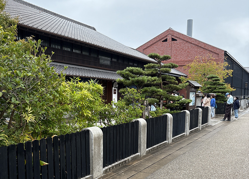 いわさきちひ展