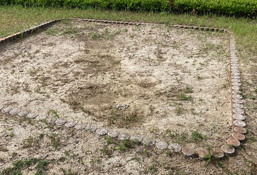 のぞみが丘公園