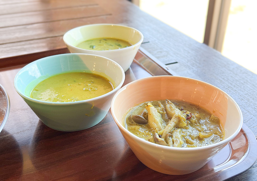 南洋の父サウス