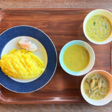 南洋の父サウス