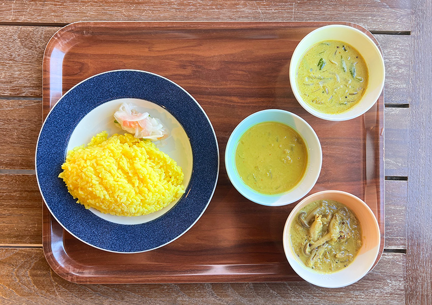 南洋の父サウス