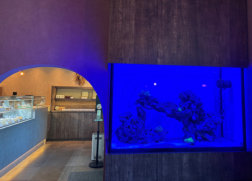 パティスリーホウリュウ