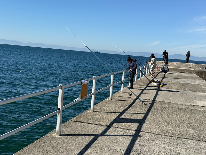 冨具崎港釣り