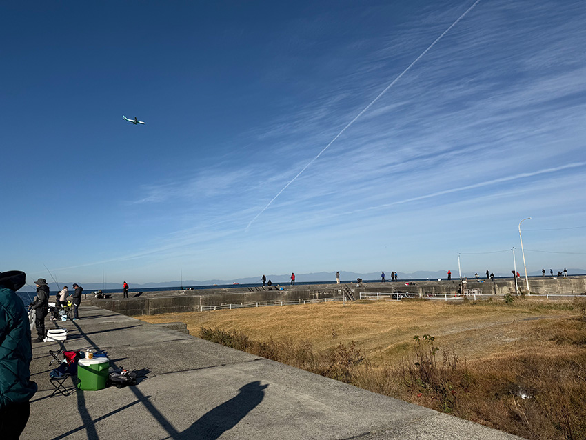 冨具崎港釣り