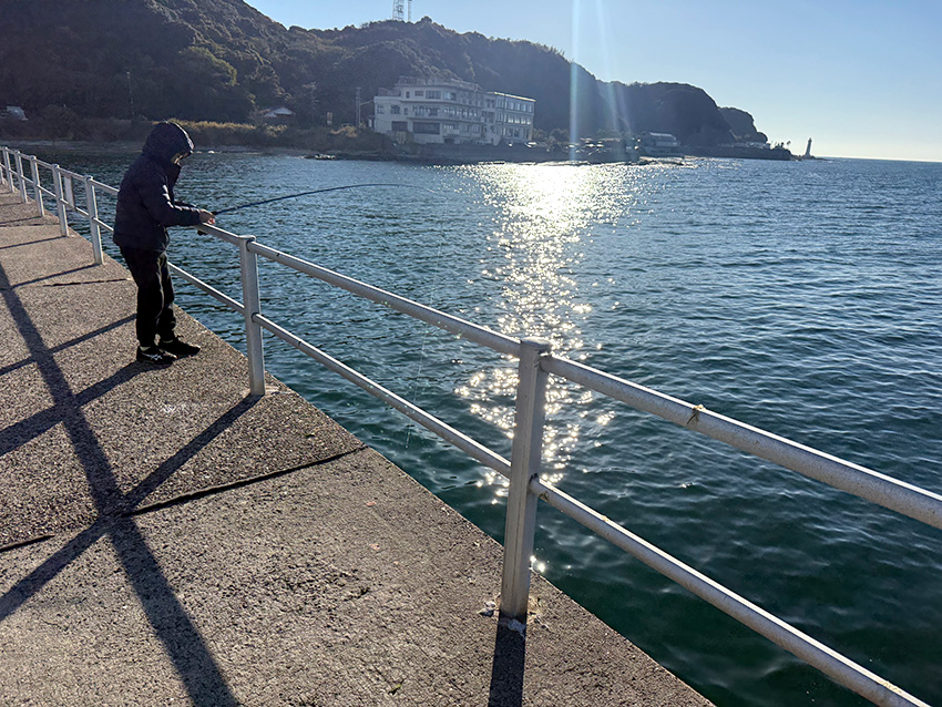 冨具崎港釣り