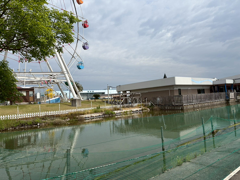 さかなくんビーチランド2026
