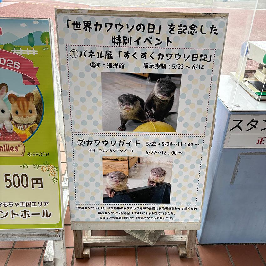 世界カワウソの日〜南知多ビーチランド〜