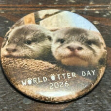 世界カワウソの日〜南知多ビーチランド〜