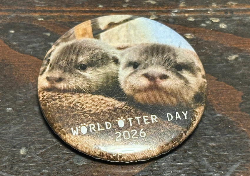 世界カワウソの日〜南知多ビーチランド〜