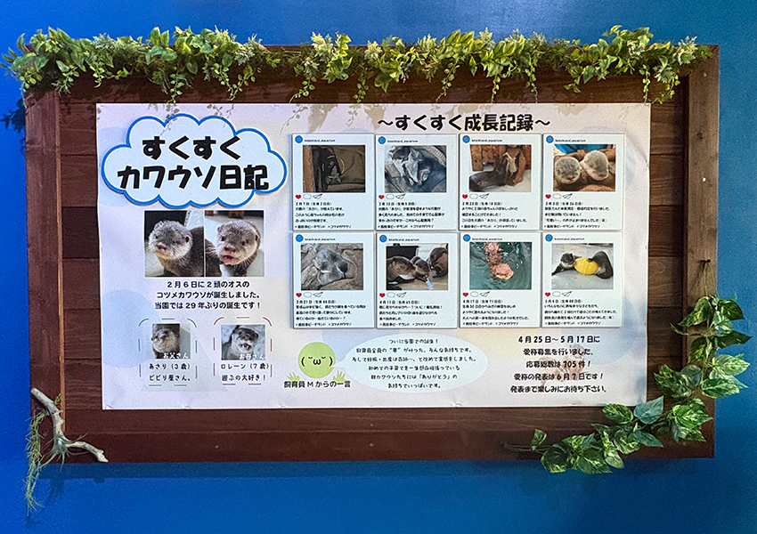 世界カワウソの日〜南知多ビーチランド〜