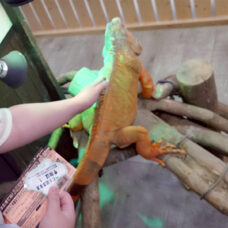 ZOOっともパーク