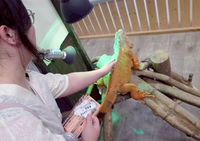 ZOOっともパーク