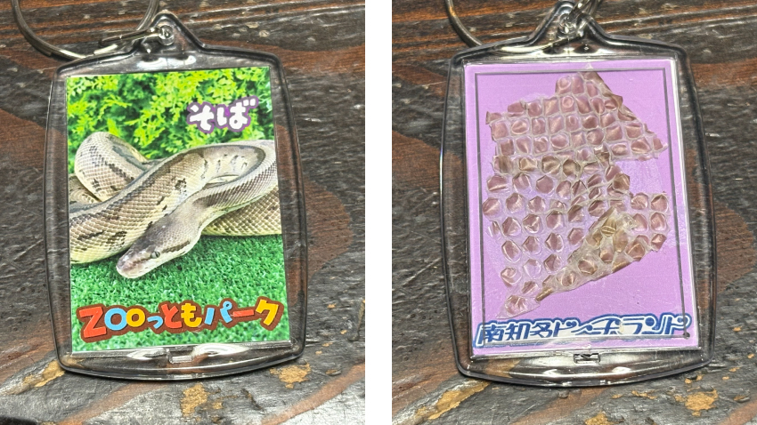 ZOOっともパーク